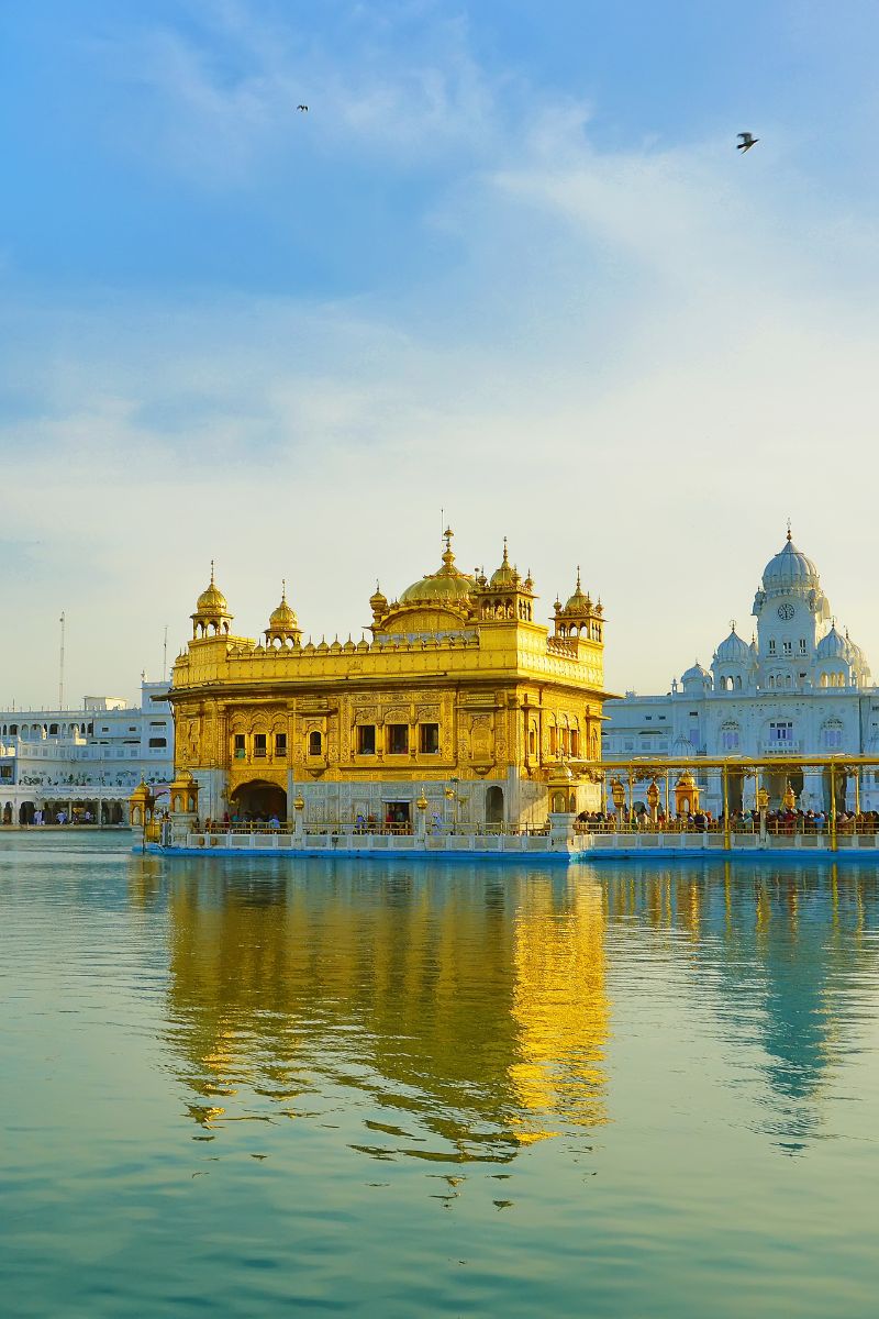 Wedding Planners in Amritsar