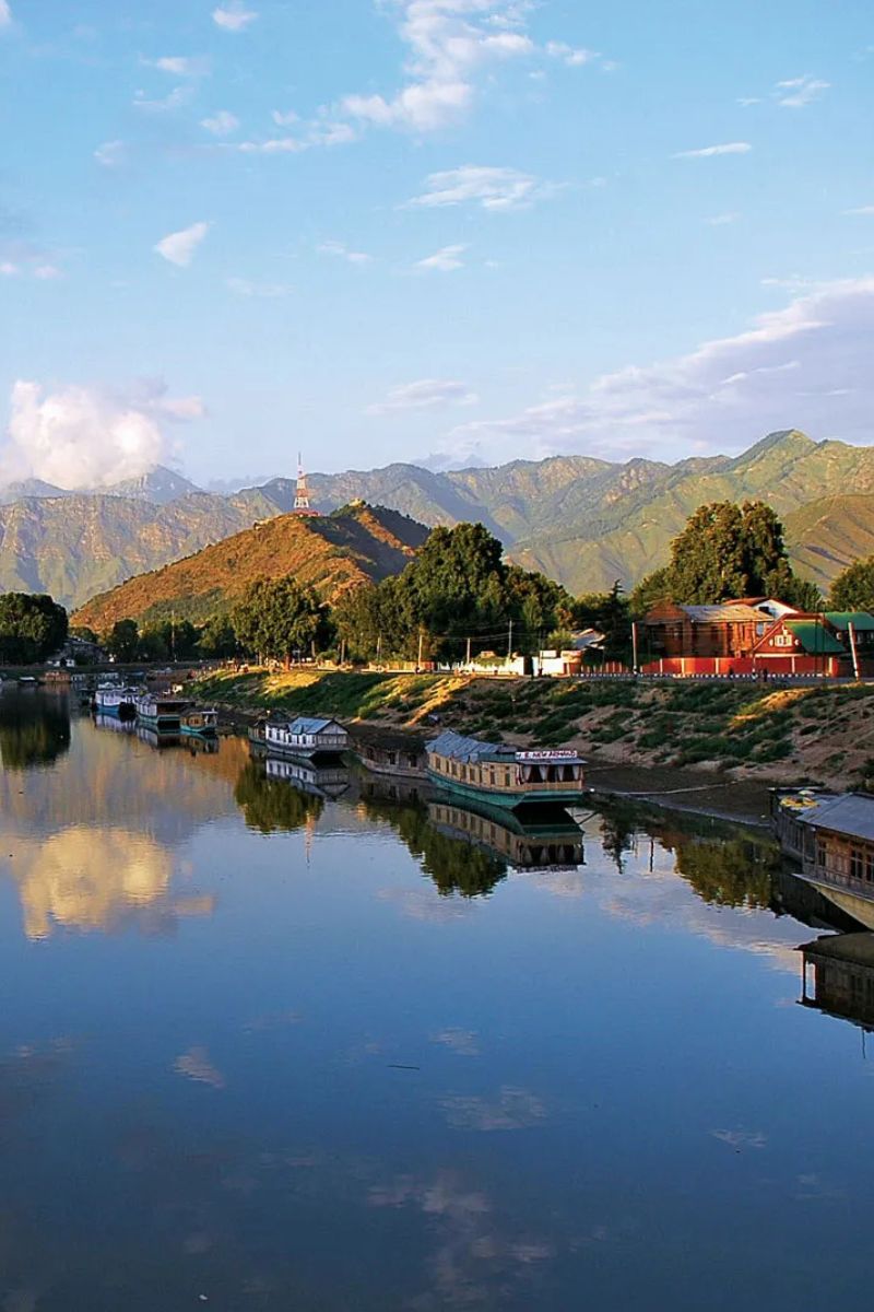 Wedding Planners in Jammu